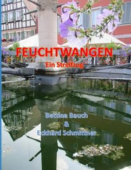Paperback Feuchtwangen Ein Streifzug [German] Book