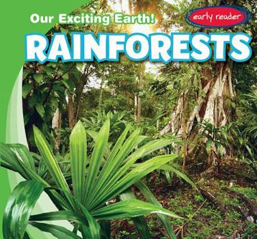 Paperback Rainforests Book