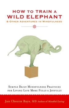 Paperback How to Train a Wild Elephant: And Other Adventures in Mindfulness Book