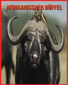 Paperback Afrikanischer B?ffel: Lustige Fakten und erstaunliche Fotos von Tieren in der Natur [German] Book