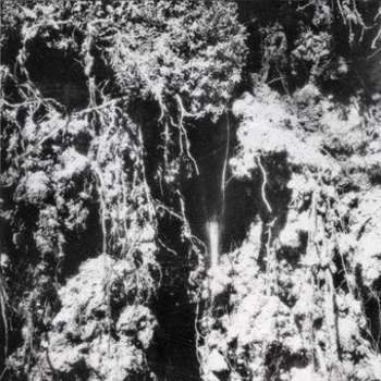 Vinyl Den Sorte D D Book