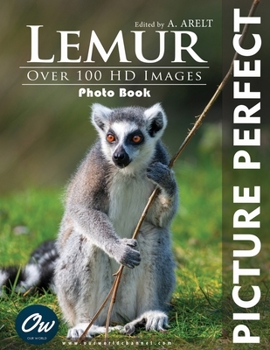 Lemur: Picture Perfect Photo Book