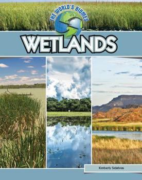 Wetlands - Book  of the World's Biomes