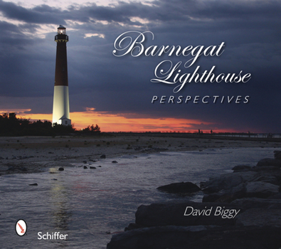 Paperback Barnegat Lighthouse Perspectives Book