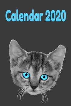 Cute kitten calendar 2020: Perfect calendar for cat fans. 120 pages, yearly, monthly and weekly planner and even space for some notes. 120 pages, 6 x ... space for notes dot gritted (German Edition)