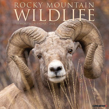 Calendar Rocky Mountain Wildlife 2024 12 X 12 Wall Calendar Book