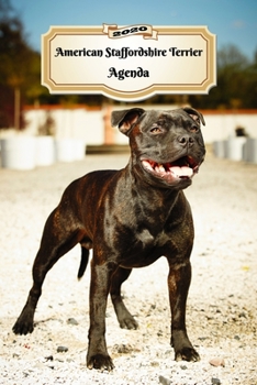 2020 American Staffordshire Terrier Agenda: 107 Pagine | Dimensioni DIN A5 | Pianificatore Settimanale | 12 Mesi | Due Pagine Per Settimana | Calendario | Diario | Cane (Italian Edition)