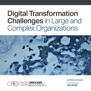 Paperback Digital Transformation Challenges in Large and Complex Organizations Book