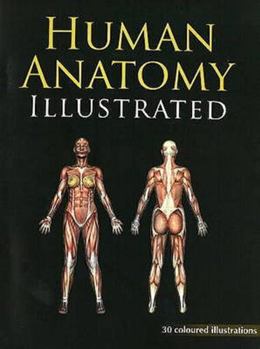 Paperback Human Anatomy Illustrated: 30 Coloured Illustrations With Marking. Book