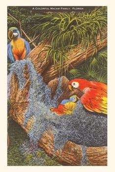 Paperback Vintage Journal Macaws, Florida Book