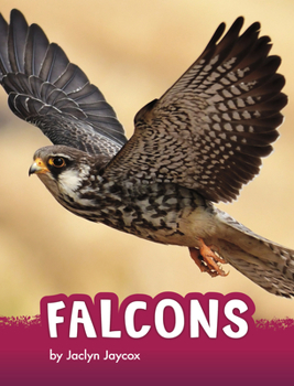 Hardcover Falcons Book