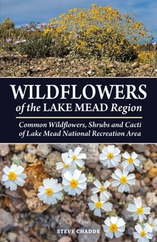 Paperback Wildflowers of the Lake Mead Region Book