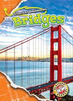 Library Binding Bridges Book