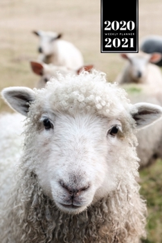 Sheep Lamm Shepherd Herder Farmer Week Planner Weekly Organizer Calendar 2020 / 2021 - Shy Smile: Cute Wildlife Animal Pet Bullet Journal Notebook Diary in 6” x 9” Inch Pocket Size