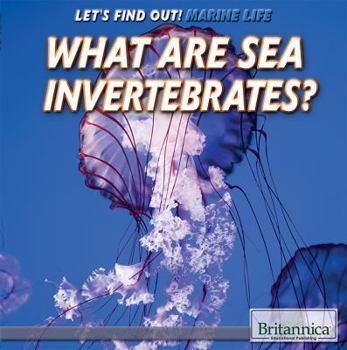 Library Binding What Are Sea Invertebrates? Book