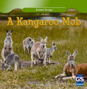 A Kangaroo Mob - Book  of the Animal Groups