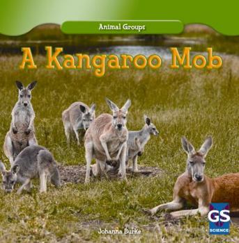 Library Binding A Kangaroo Mob Book