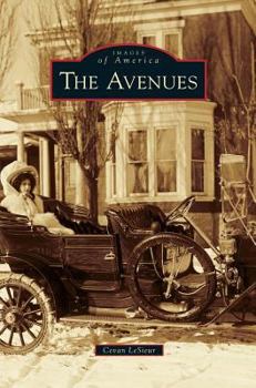 Hardcover Avenues Book