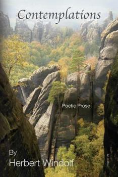 Paperback Contemplations Book