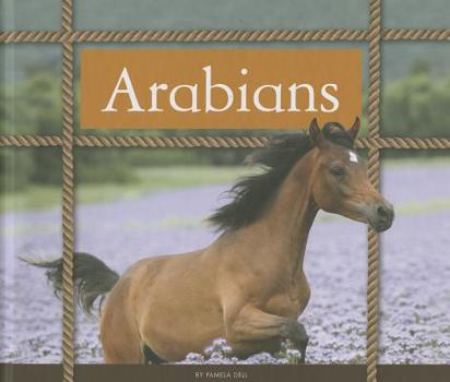 Arabians (Majestic Horses)