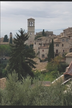 Paperback Mille Cose Book