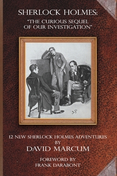 Sherlock Holmes - The Curious Sequel of Our Investigation: 12 New Sherlock Holmes Adventures
