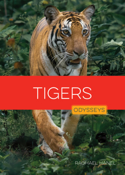 Tigers (Living Wild)