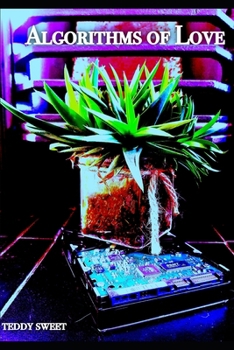 Paperback Algorithms Of Love Book