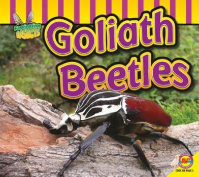 Goliath Beetle - Book  of the Fascinating Insects
