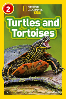 Paperback NAT GEO READER - TURTLES AND T Book