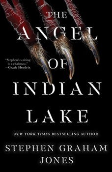 Hardcover The Angel of Indian Lake Book