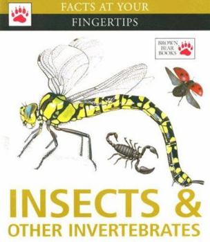 Library Binding Insects & Other Invertebrates Book