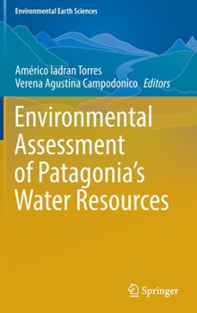 Hardcover Environmental Assessment of Patagonia's Water Resources Book