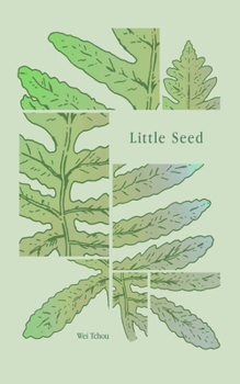 Paperback Little Seed Book