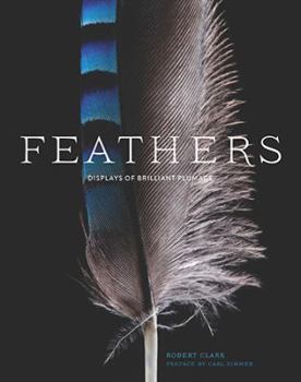 Hardcover Feathers: Displays of Brilliant Plumage Book