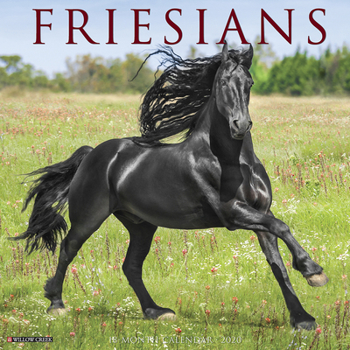 Calendar Friesians 2020 Wall Calendar (Dog Breed Calendar) Book