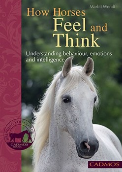 Paperback How Horses Feel and Think: Understanding Behaviour, Emotions and Intelligence Book