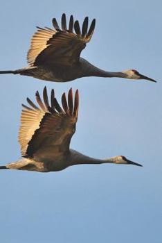 Paperback Two Sandhill Cranes Bird Journal: 150 page lined notebook/diary Book