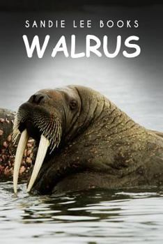 Paperback Walrus - Sandie Lee Books Book
