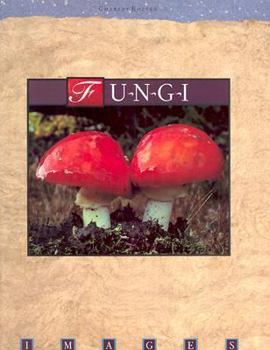 Hardcover Fungi Book