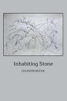Paperback Inhabiting Stone Book