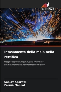 Paperback Intasamento della mola nella rettifica [Italian] Book