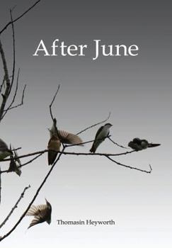 Hardcover After June Book