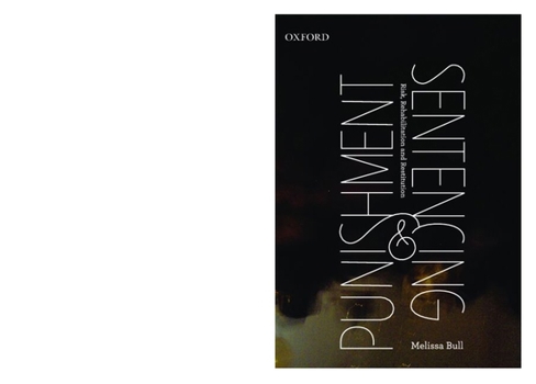 Paperback Punishment and Sentencing: Risk, Rehabilitation and Restitution Book