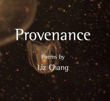 Paperback Provenance Book