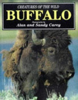 Hardcover Buffalo (Creatures of the Wild Series) Book