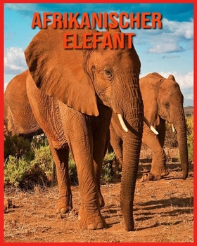 Afrikanischer Elefant: Erstaunliche Bilder und Fakten ?ber Afrikanischer Elefant
