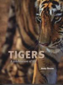 Hardcover Tigers: A Celebration of Life Book