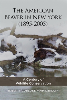 Paperback The American Beaver in New York (1895-2005): A Century of Wildlife Conservation Book