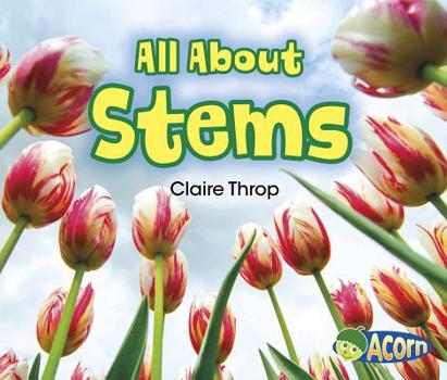 Paperback All about Stems Book